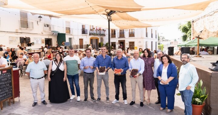 Fiesta de la cereza (4)