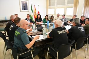 La Junta Local de Seguridad coordina los dispositivos del partido de vuelta del ascenso a LaLiga de fútbol y de la Noche de San Juan