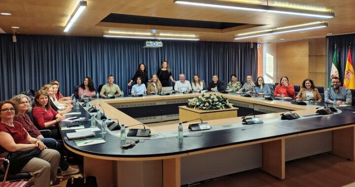 Nuevo sistema de valoración de la discapacidad I