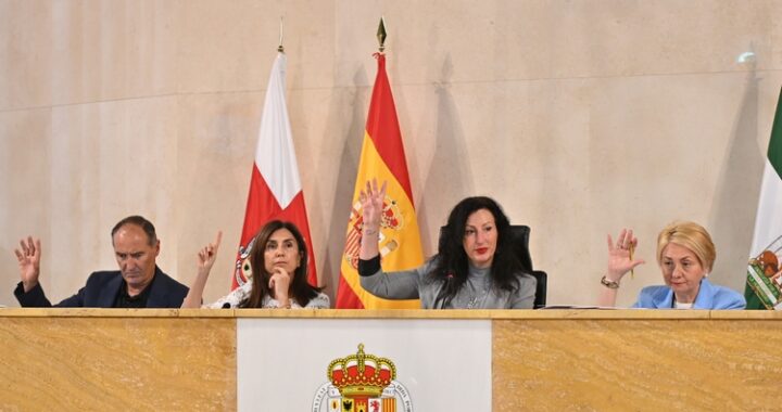 Pleno Ordinario Jun26