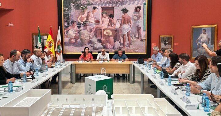 Reunión de coordinación Olula del Río (4)