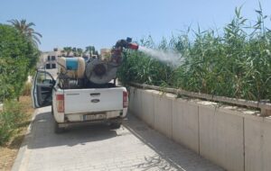 fumigación reciente