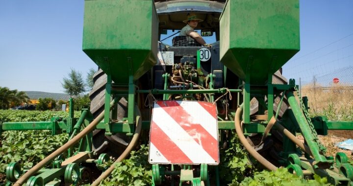 260701 JÓVENES AGRICULTORES