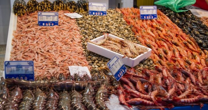 260713 Ayudas para la comercialización