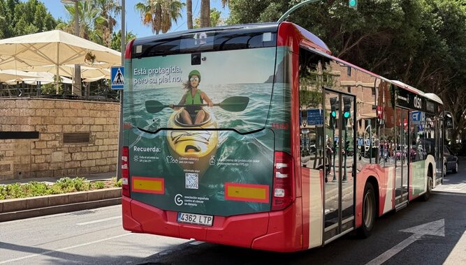 260713 Campaña AECC en autobuses urbanos (1)