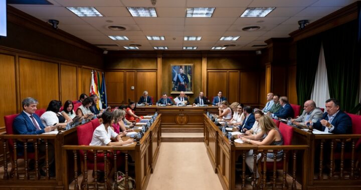 Pleno celebrado hoy (1)