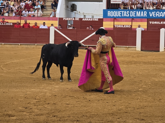 Sin título 3