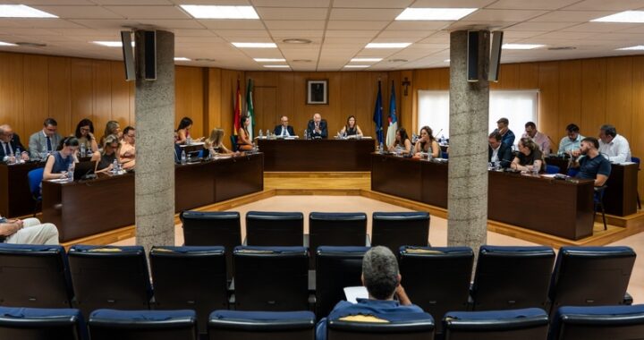 pleno 9 julio 1