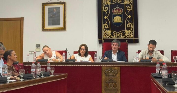 260803 PLENO