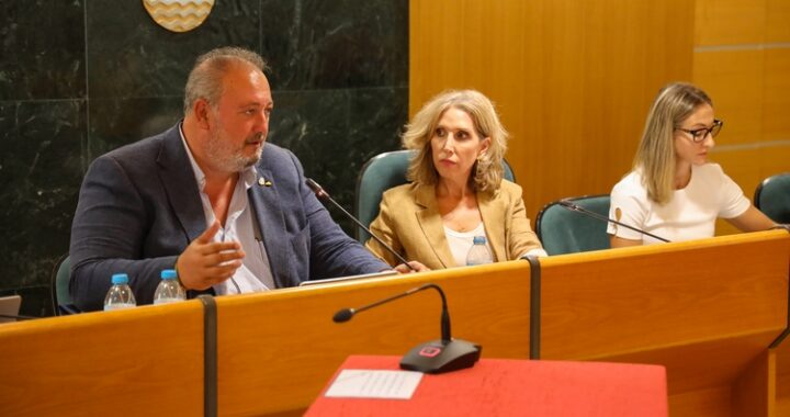 260807 PLENO ORDENANZA DOMINIO PÚBLICO LOCAL (1)