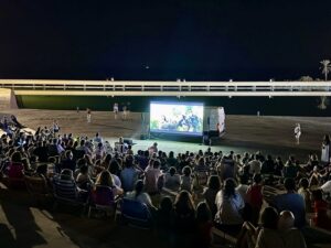260808 Noches de Verano en El Toyo Cine de Verano (9)