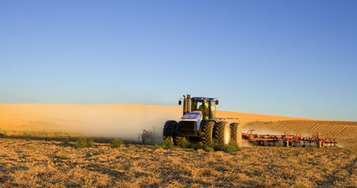 Tractor en campo