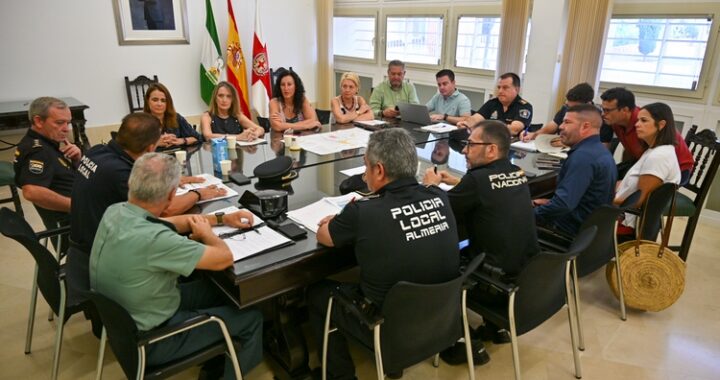 junta local seguridad -13