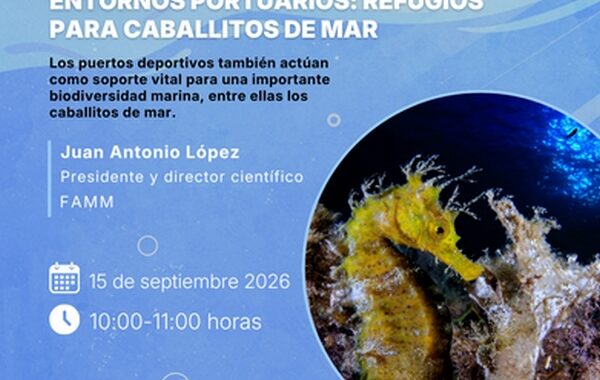 Webinario caballitos de mar